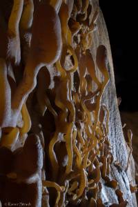 2014_11_virgin_cave_rs_IMG_0783
